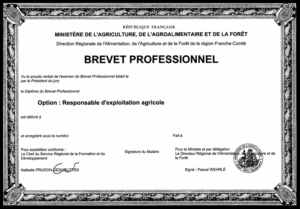 Avantages de l’achat de faux diplômes